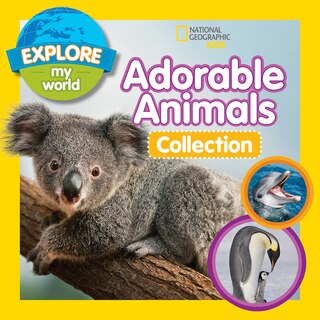 Couverture_Explore My World: Adorable Animals Collection 3 Books in 1
