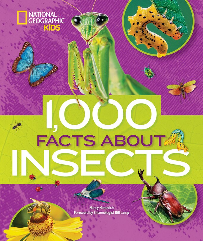Couverture_1,000 Facts About Insects