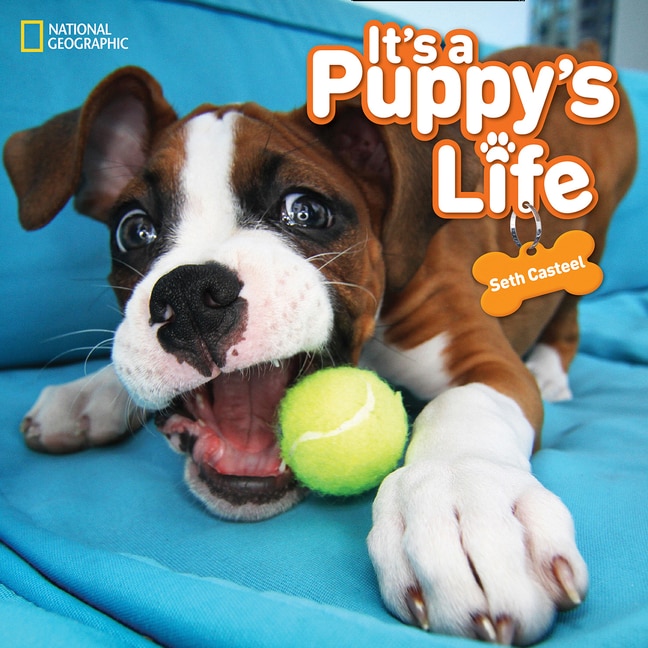 Front cover_It's A Puppy's Life