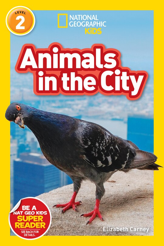 Front cover_Animals in the City (National Geographic Kids Readers, Level 2)