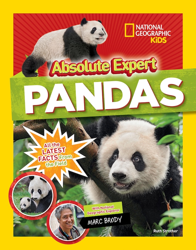 Front cover_Absolute Expert: Pandas