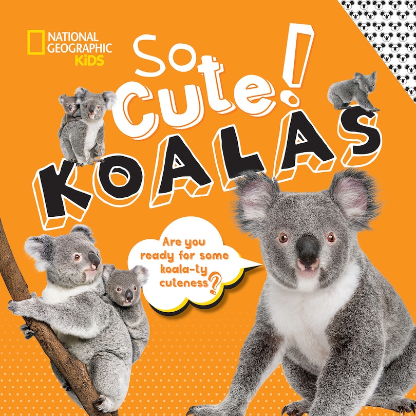Couverture_So Cute! Koalas