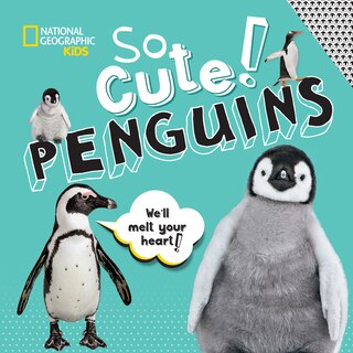 Front cover_So Cute! Penguins