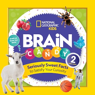 Front cover_Brain Candy 2