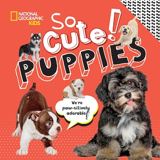 Front cover_So Cute! Puppies