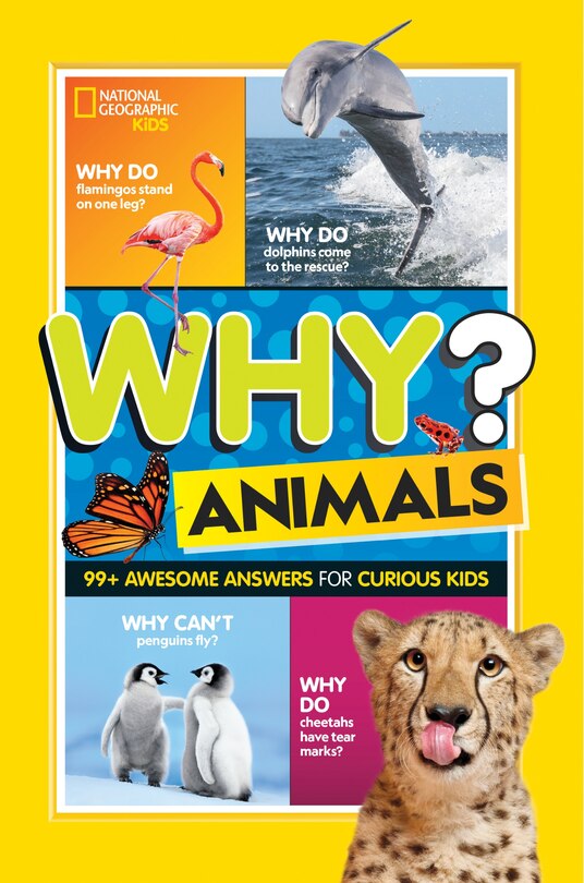 Front cover_Why? Animals