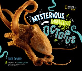 Front cover_Mysterious, Marvelous Octopus