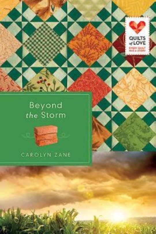 Couverture_Beyond the Storm