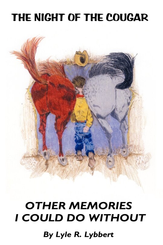 Couverture_The Night of the Cougar