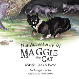 The Adventures Of Maggie The Cat: Maggie Finds A Home