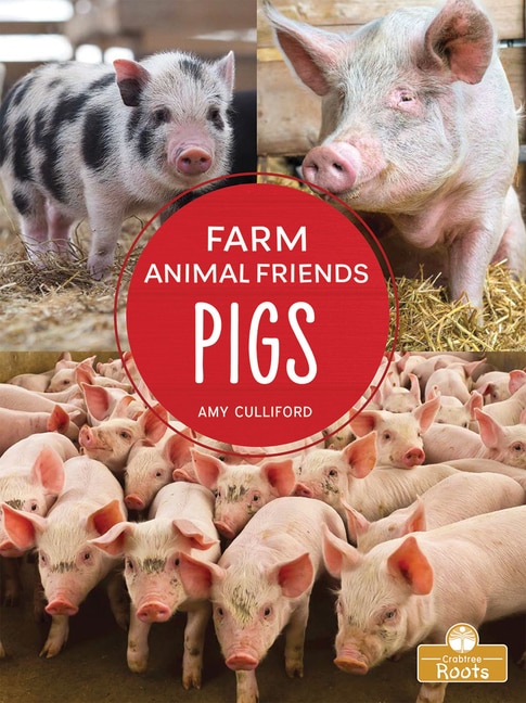 Front cover_Pigs