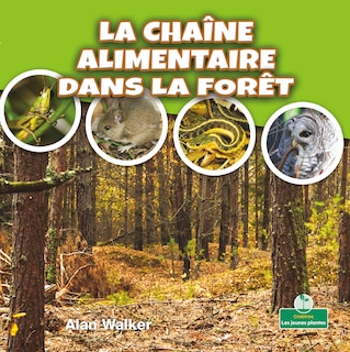Couverture_La Chaîne Alimentaire Dans La Forêt (Food Chain in a Forest)