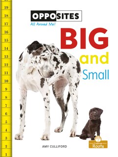 Front cover_Big and Small