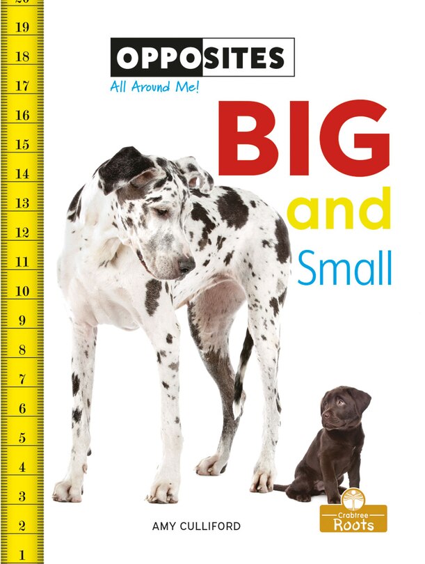 Front cover_Big and Small