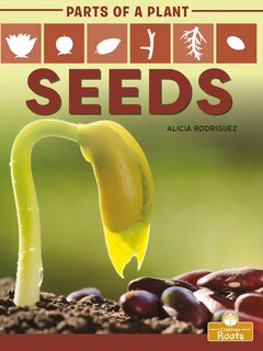Front cover_Seeds