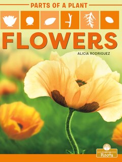 Couverture_Flowers