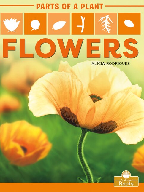 Couverture_Flowers