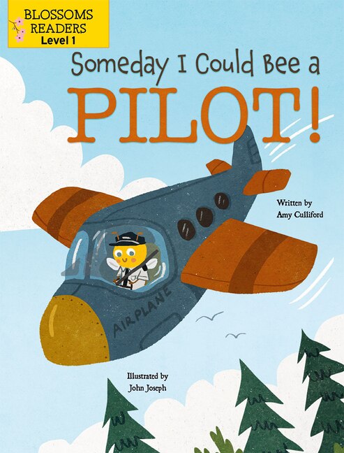 Front cover_Someday I Could Bee a Pilot!