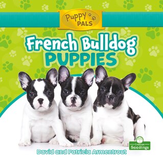Couverture_French Bulldog Puppies