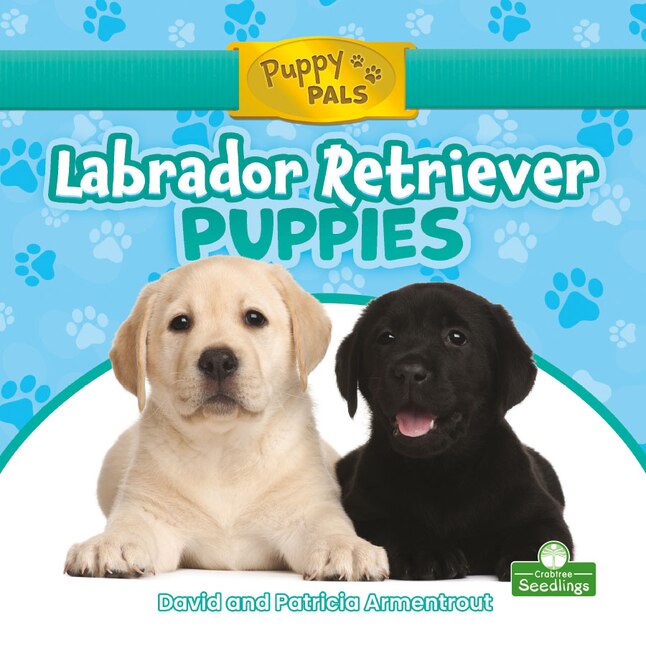 Front cover_Labrador Retriever Puppies