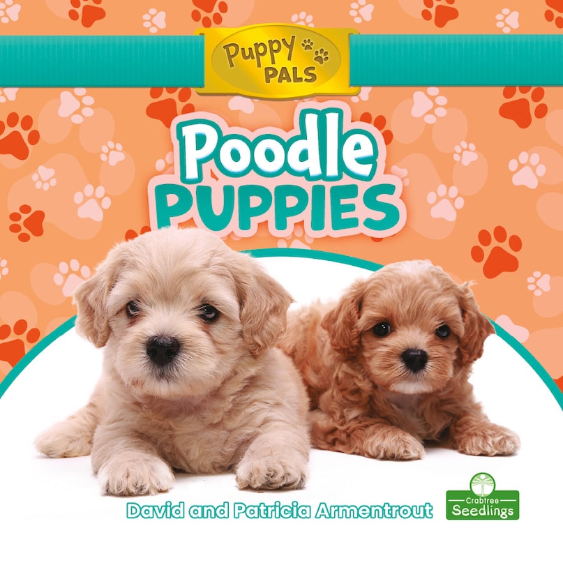 Front cover_Poodle Puppies