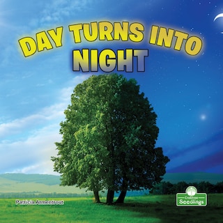 Front cover_Day Turns Into Night