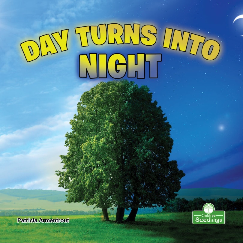 Front cover_Day Turns Into Night