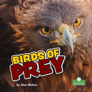Front cover_Birds of Prey