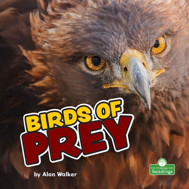 Front cover_Birds of Prey