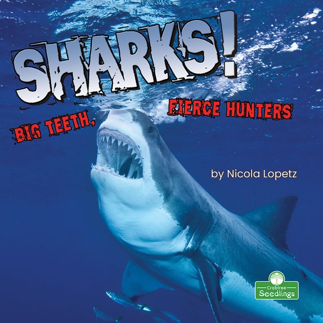 Front cover_Sharks! Big Teeth, Fierce Hunters