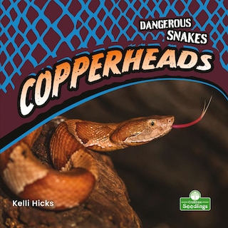 Couverture_Copperheads