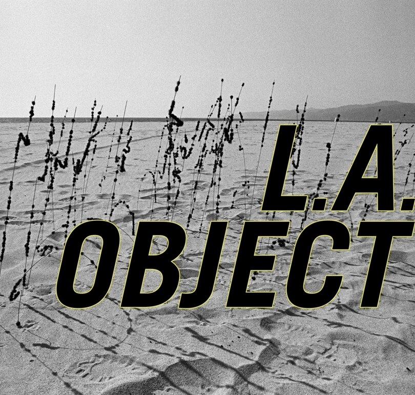 Front cover_L.A. Object & David Hammons Body Prints