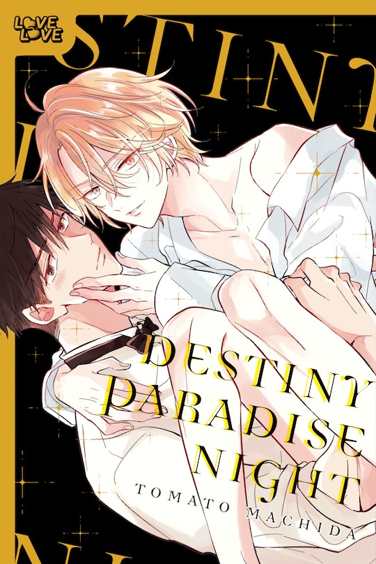 Front cover_Destiny Paradise Night