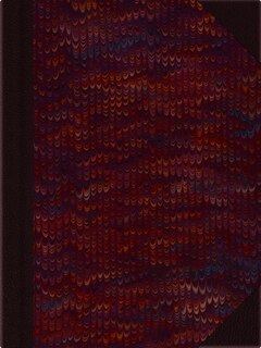 Front cover_Meta Overbeck's Designs for Louis C. Tiffany Art Jewelry