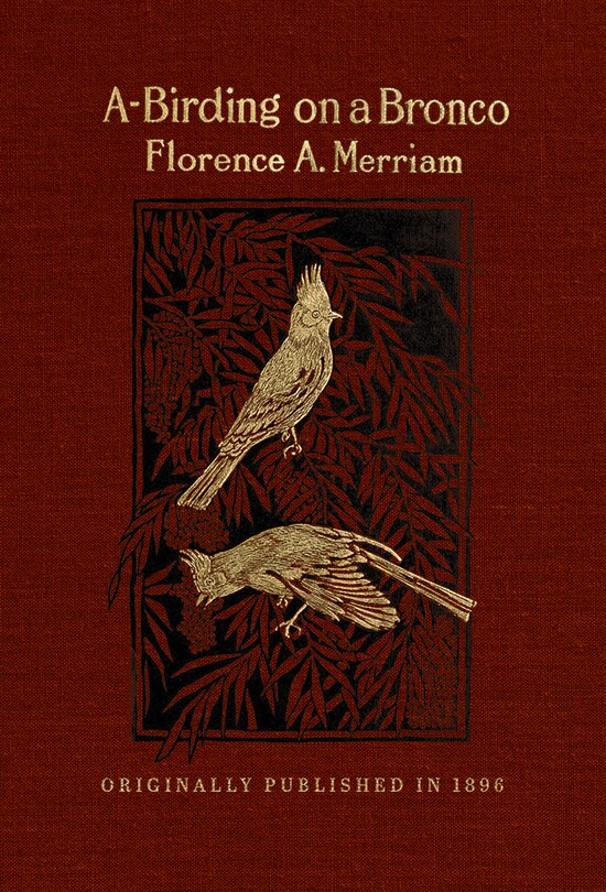 Front cover_A-Birding on a Bronco