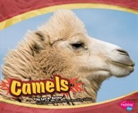 Front cover_Camels