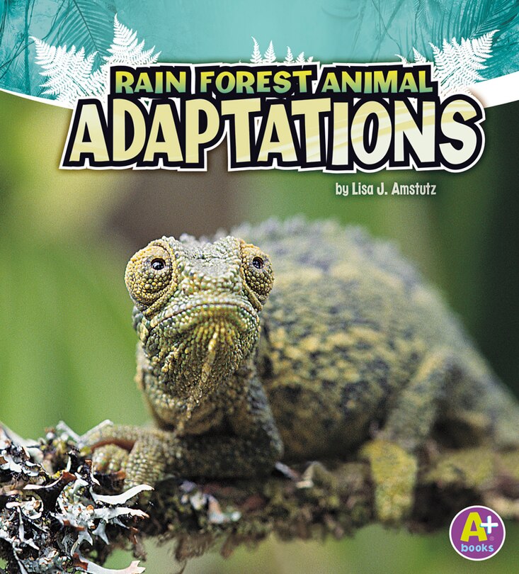 Front cover_Rain Forest Animal Adaptations