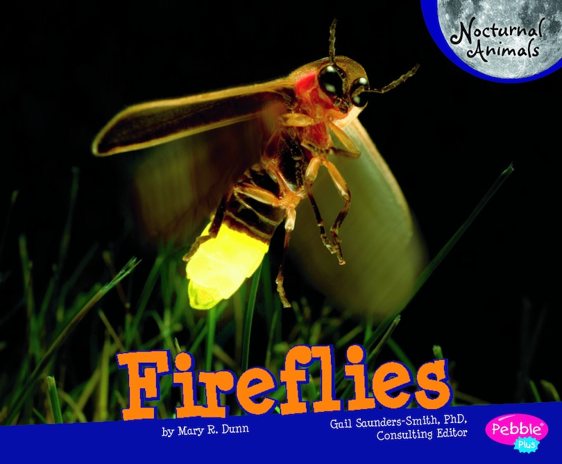 Front cover_Fireflies