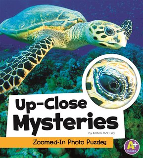 Up-Close Mysteries: Zoomed-In Photo Puzzles