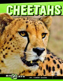 Cheetahs