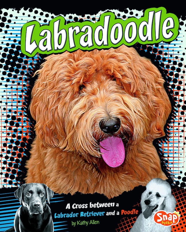 Front cover_Labradoodle