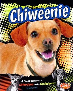 Front cover_Chiweenie