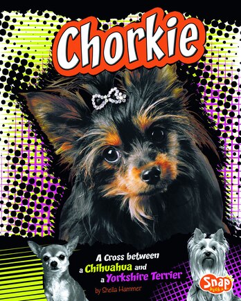 Chorkie: A Cross Between a Chihuahua and a Yorkshire Terrier