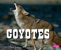 Front cover_Coyotes