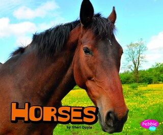 Front cover_Horses
