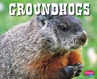 Couverture_Groundhogs