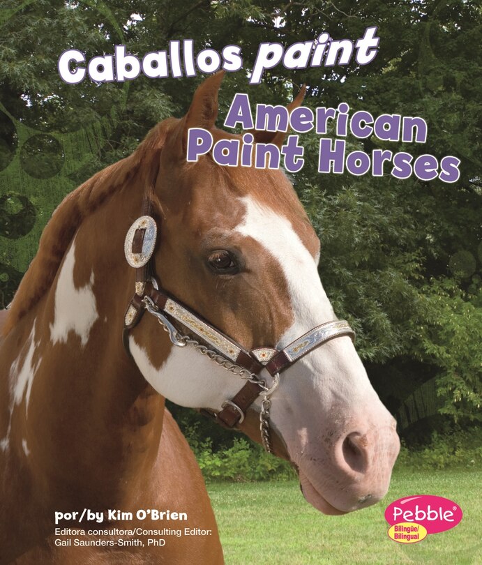 Caballos paint/American Paint Horses