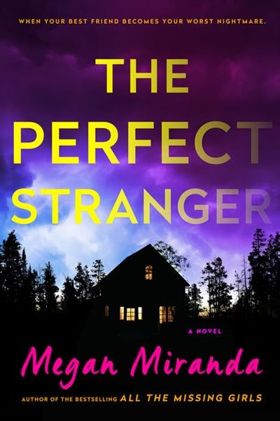 The Perfect Stranger: (Large  Print)