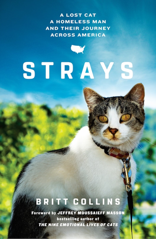 Strays: A Lost Cat, A Homeless Man And Their Journey Across America