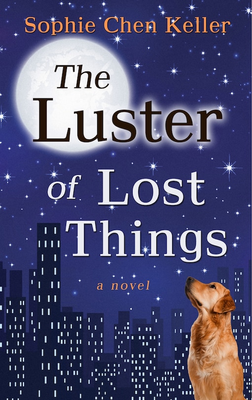 Couverture_The Luster of Lost Things